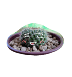 cactus.cactus（個別スタンプ：6）