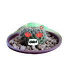 cactus.cactus（個別スタンプ：7）