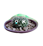 cactus.cactus（個別スタンプ：10）