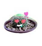 cactus.cactus（個別スタンプ：14）