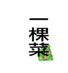 Chinese Opera language（個別スタンプ：12）