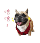 French Bulldog Fat bubble（個別スタンプ：4）