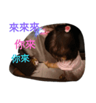 Lin no mo（個別スタンプ：4）