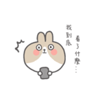 Kabi rabbit（個別スタンプ：2）