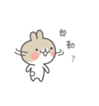 Kabi rabbit（個別スタンプ：29）