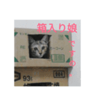 utinoneko2015_N1（個別スタンプ：5）