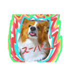 thewelshcorgi youcan'twork6（個別スタンプ：4）