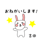 吉田用 シロウサけいたん（個別スタンプ：5）