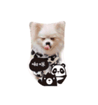 Bomei dog- Miumiu（個別スタンプ：3）