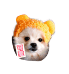 Bomei dog- Miumiu（個別スタンプ：4）