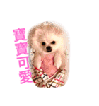 Bomei dog- Miumiu（個別スタンプ：6）