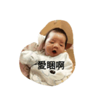 Pin An family（個別スタンプ：3）