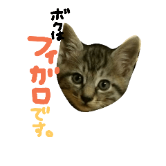 [LINEスタンプ] フィガロくんのスタンプ 修正版