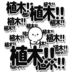 [LINEスタンプ] 植木さんデカ文字シンプル