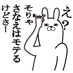 [LINEスタンプ] さなえが使う面白名前スタンプ