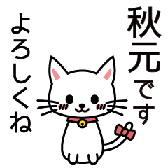 [LINEスタンプ] 秋元さんと秋元さんの友達用