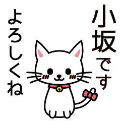 [LINEスタンプ] 小坂さんと小坂さんの友達用