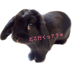 [LINEスタンプ] こじろう日和