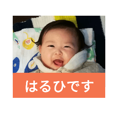 [LINEスタンプ] haruchi-desuyo