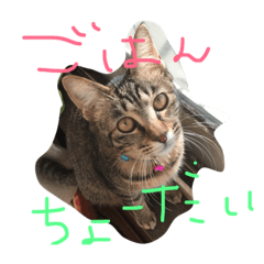 [LINEスタンプ] koondu