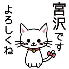 [LINEスタンプ] 宮沢さんと宮沢さんの友達用