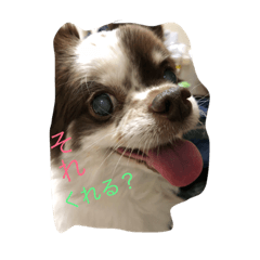 [LINEスタンプ] ヨークとマミィ
