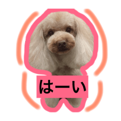 [LINEスタンプ] 日常あいさつ 〜犬