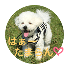 [LINEスタンプ] モコモコスタンプ