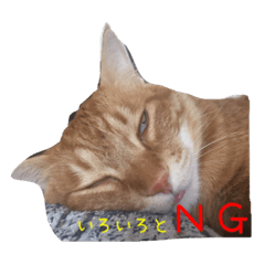 [LINEスタンプ] ろくしー