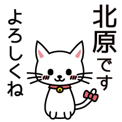 [LINEスタンプ] 北原さんと北原さんの友達用