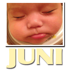 [LINEスタンプ] JUNI01