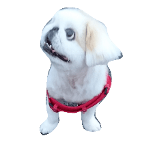 [LINEスタンプ] ばぁちゃん☆