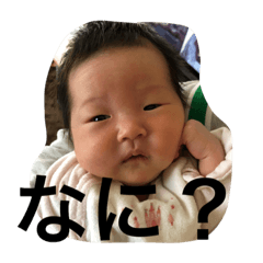 [LINEスタンプ] NISHIKAWA MINON