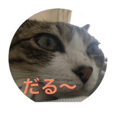 [LINEスタンプ] らてぼうとまろん1