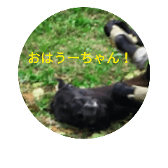 [LINEスタンプ] aura*u-than