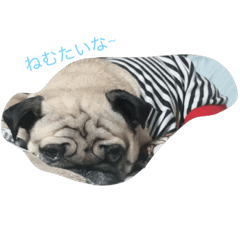 [LINEスタンプ] パグのむーちゃん