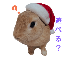 [LINEスタンプ] まもちゃんのクリスマスとお正月