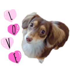 [LINEスタンプ] I love moka 1