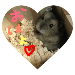 [LINEスタンプ] 獅子丸♡