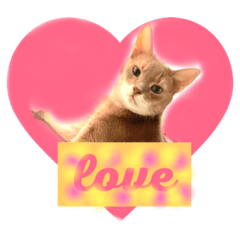 [LINEスタンプ] dearest cats