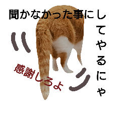 [LINEスタンプ] ねこの小言〜ず  ②