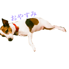 [LINEスタンプ] ロコwithコテツ fetchpriority=high