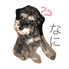 [LINEスタンプ] 三四郎十二朗