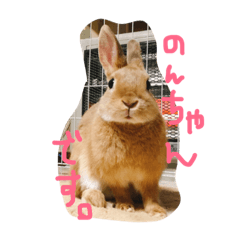 [LINEスタンプ] 岩尾のん
