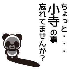 [LINEスタンプ] 小寺さんと小寺さんの友達専用