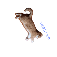 [LINEスタンプ] ねるねこ