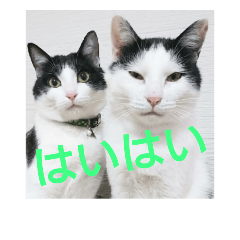 [LINEスタンプ] よもわら壱