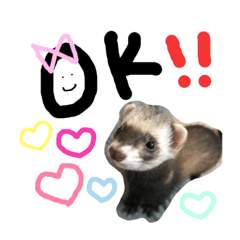 [LINEスタンプ] フェレット くくちゃん