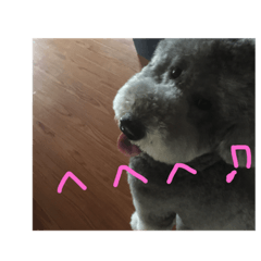 [LINEスタンプ] ラウラ先輩の日常1