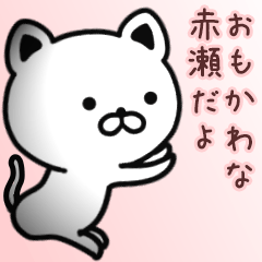 [LINEスタンプ] 赤瀬さん専用面白可愛い名前スタンプ